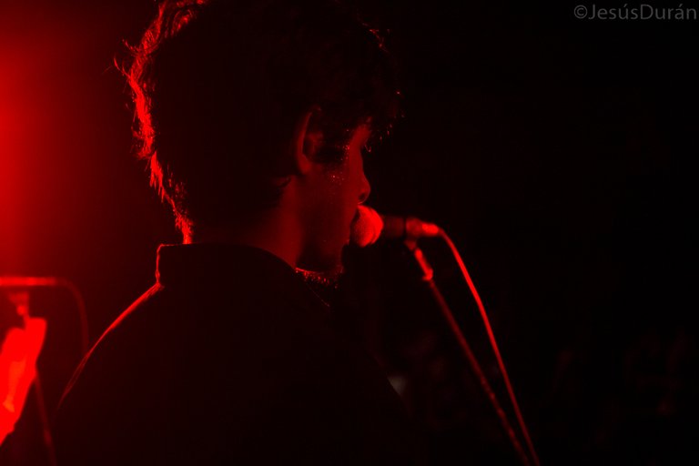 Too Much - Festival Mediosol 2017-38.jpg