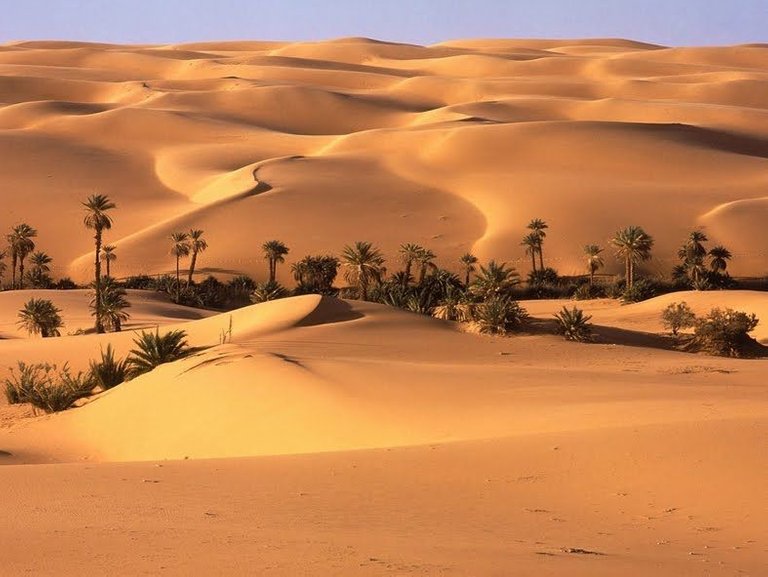 Oasis_en_el_desierto.jpg