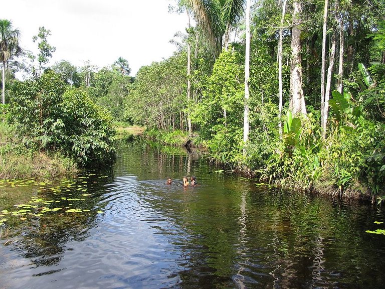 1024px-Suriname_Colakreek.jpg