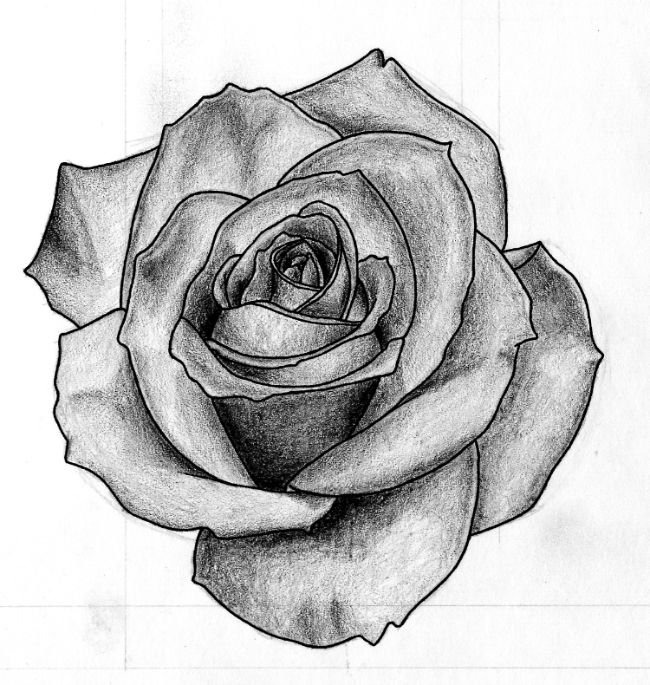 rose_black_and_white_by_sagaxus-d4m0tyz.jpg