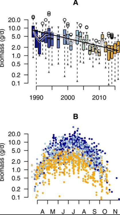 insect-biomass-collapse.jpg