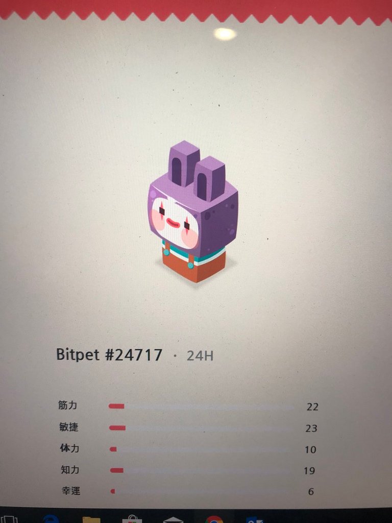 bitpet1.jpg