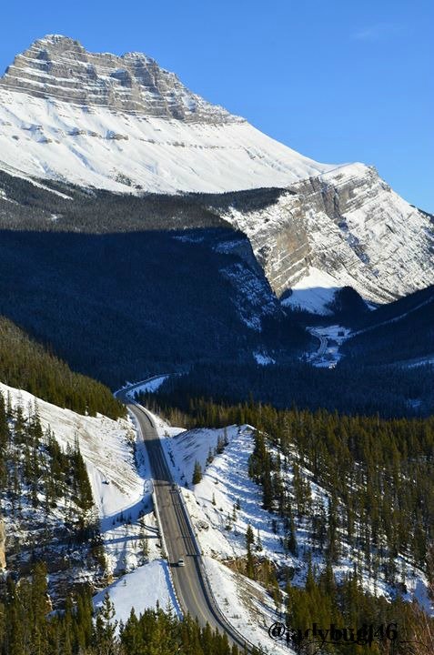 snowy mountain road.jpg