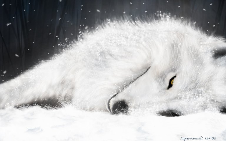 Kiba.(Wolf's.Rain).full.51151.jpg