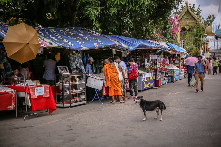 no watermark wat phra taht doi 46.jpg