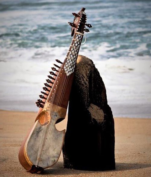 Homayoun-Rubab.jpg