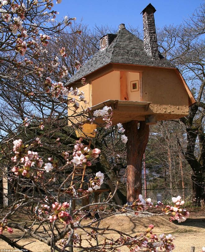 2-tree-house.jpg