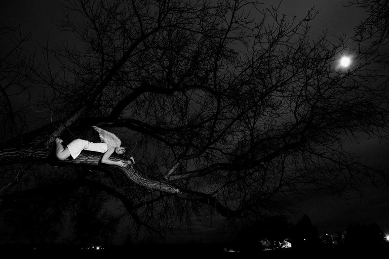 Angel tree a_resize bw.jpg