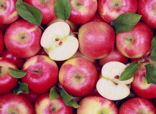 apples-best-fruit-weight-loss-500x366.jpg