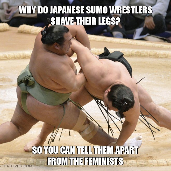 sumo.jpg