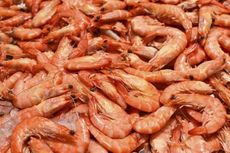 Les-crevettes.jpg