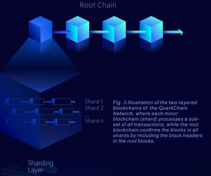 rootchain.JPG