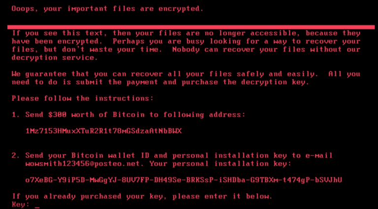 petya-1024x567.png