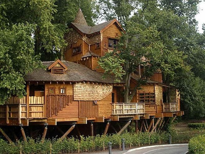 14-tree-house.jpg