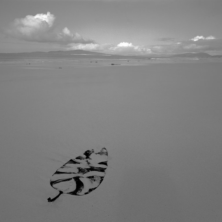 westbeachberneray-.jpg