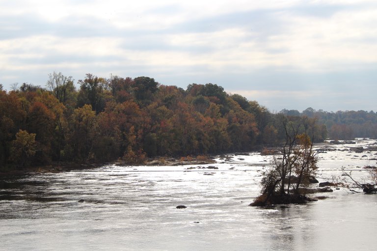 belle isle nov.15.2017 043.JPG