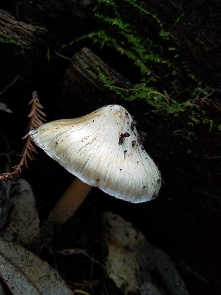 20171219_142206.jpg