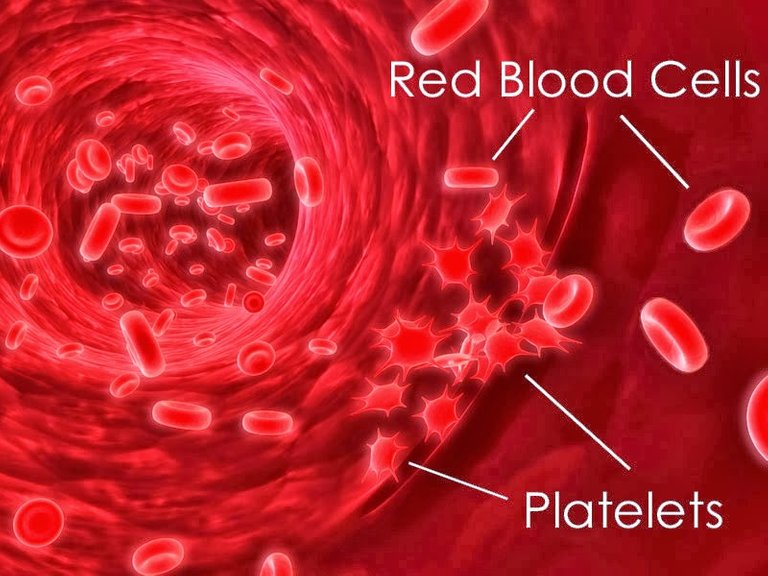 Ubuntu_Network_Blood_Platelets.jpg