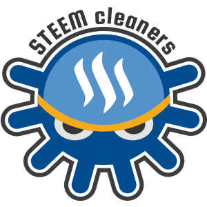 steemcleaners-logo02.png