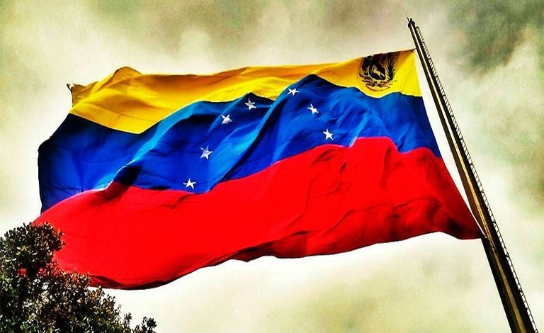 bandera-de-vzla.jpg3.jpg