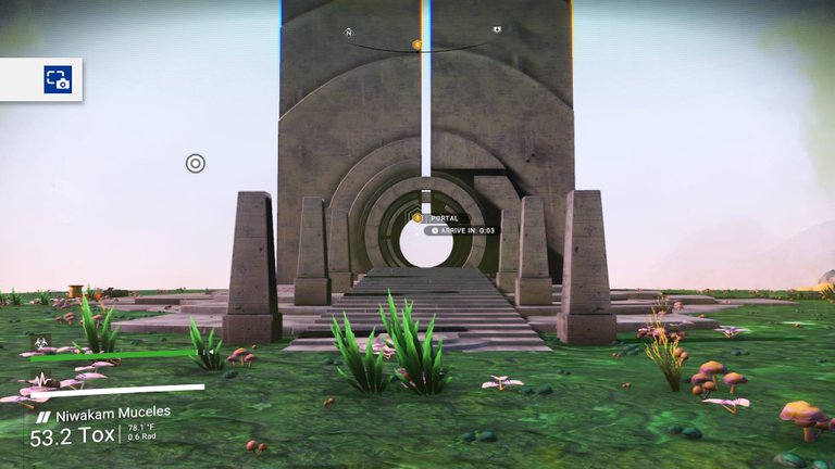 nms3.jpg