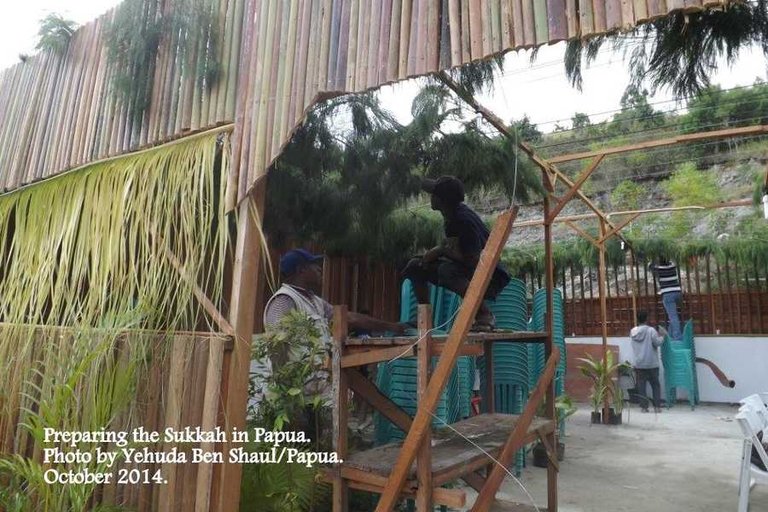 preparing_sukkah_2.jpg(mediaclass-default.07117f2c4ec710ad23c7a77d873eedba1343e2d7).jpg