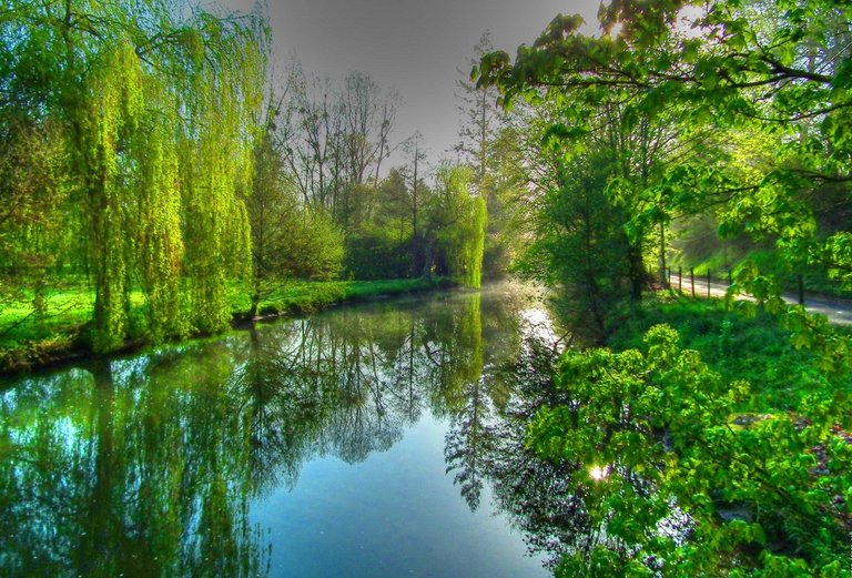 rivers-reflection-serenity-green-willow-stream-summer-pretty-branches-sky-spring-leaves-beautiful-trees-calm-river-lake-shore-nice-quiet-nature-creek-riverbank-wallpaper-1591x1080.jpg