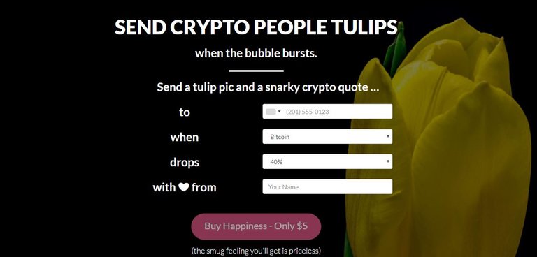 tulips crypto.JPG