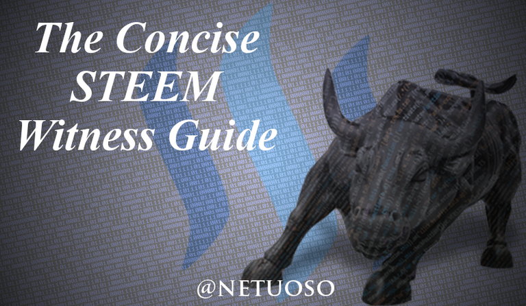 concise-steem-witness-guide.png