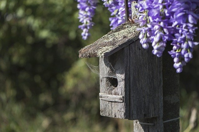 birdhouse-2813920_640.jpg