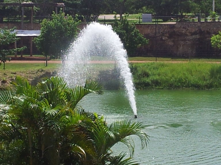 20120818_104355.jpg