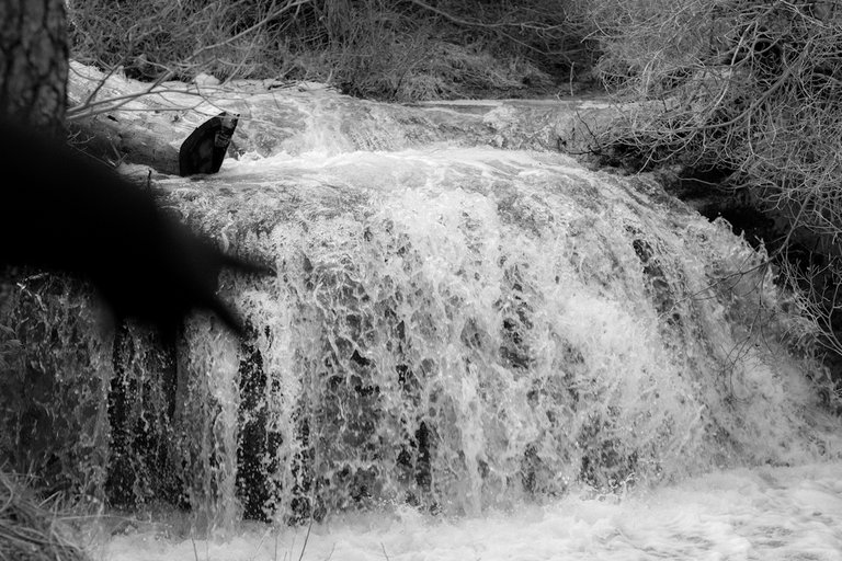 _MG_4843.jpg