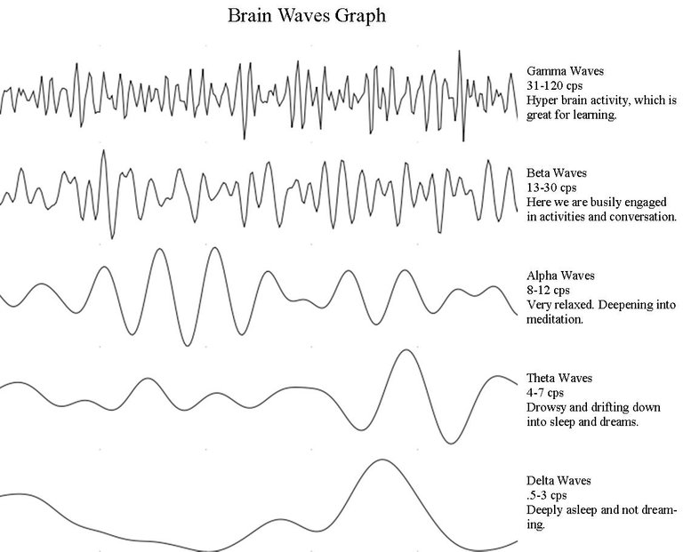 Brainwaves.jpeg