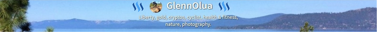 GlennoluaSteemLogo.png