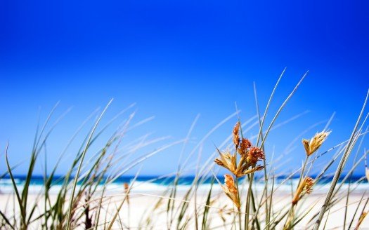 clear_beach_sky-t2.jpg