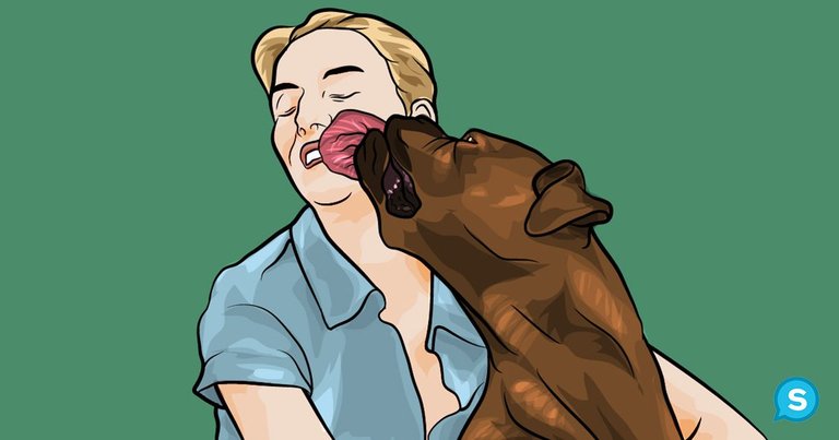 dog-lick-owner.jpg