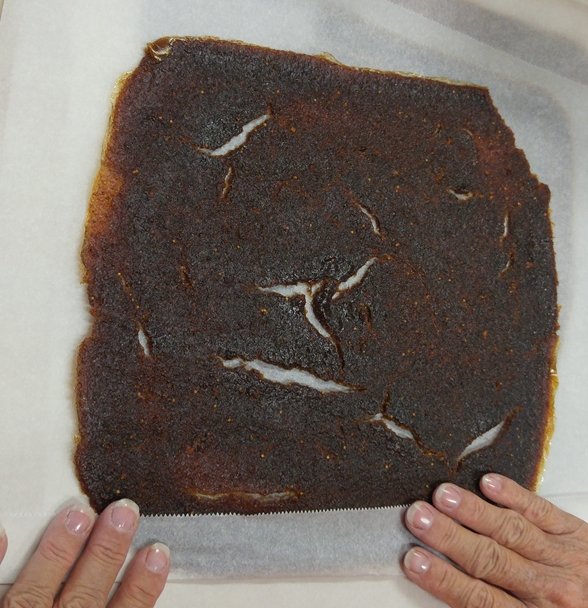 Dried Bark oj Parchment.jpg