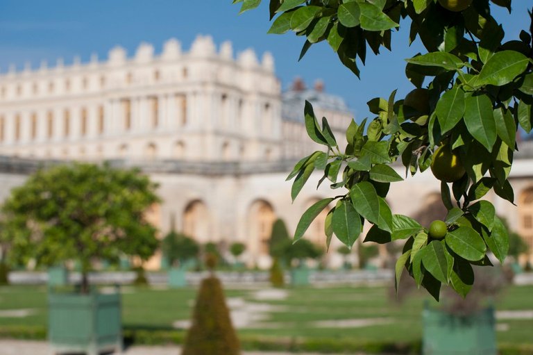 versailles-201108430-DSC_5970.jpg