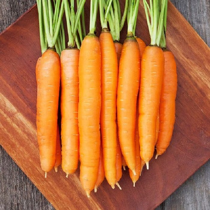 Carrot.jpg