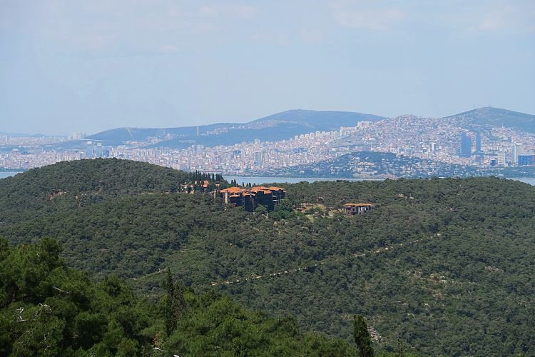 Aussicht Istanbul Buyukada.jpg