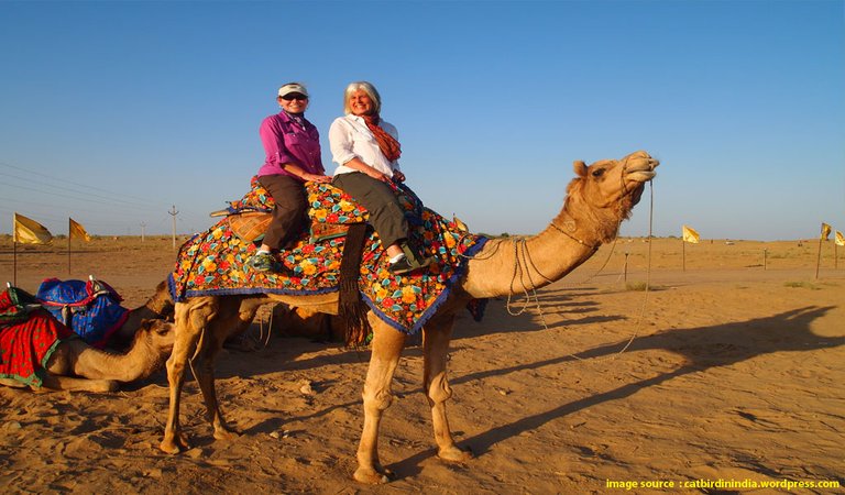 Explore-Rustic-Rajasthan-on-Camel-Safari.jpg