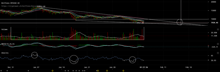 bitfinex-btcusd-Feb-05-2018-20-22-25.png