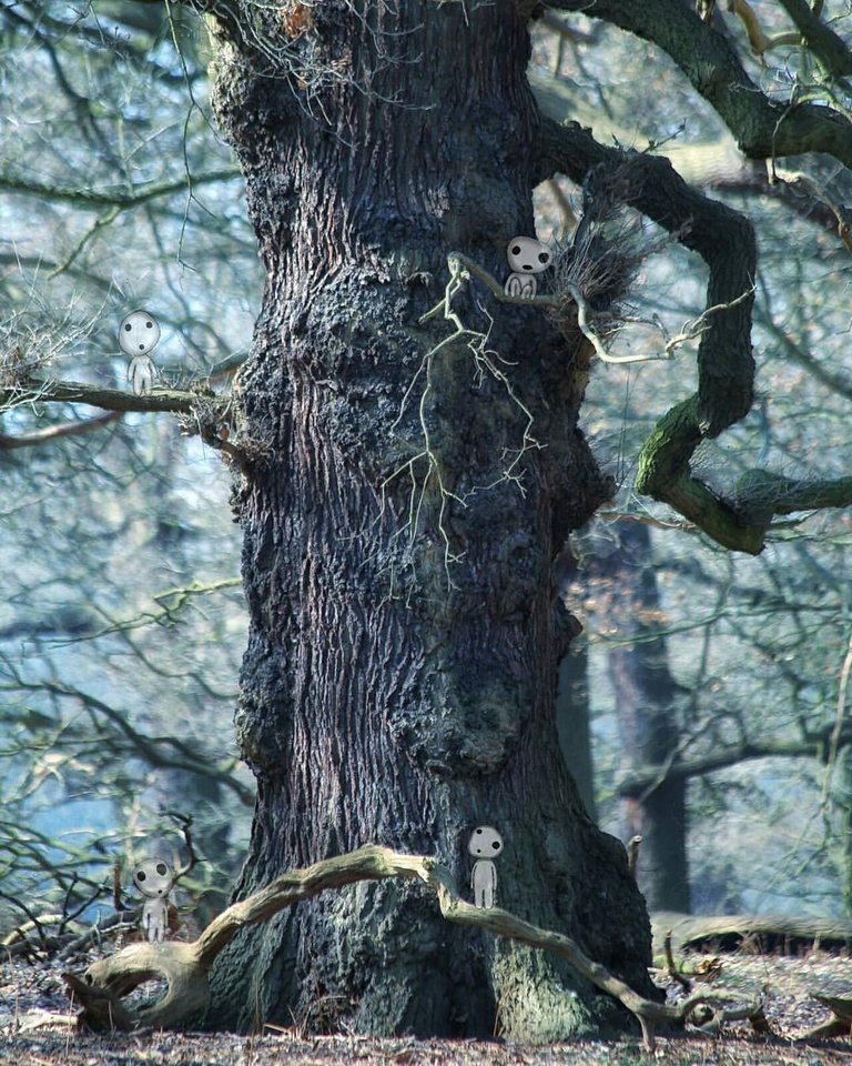 SPIRIT TREE © copyright 2017 Sam Stormborn Ormandy.jpg