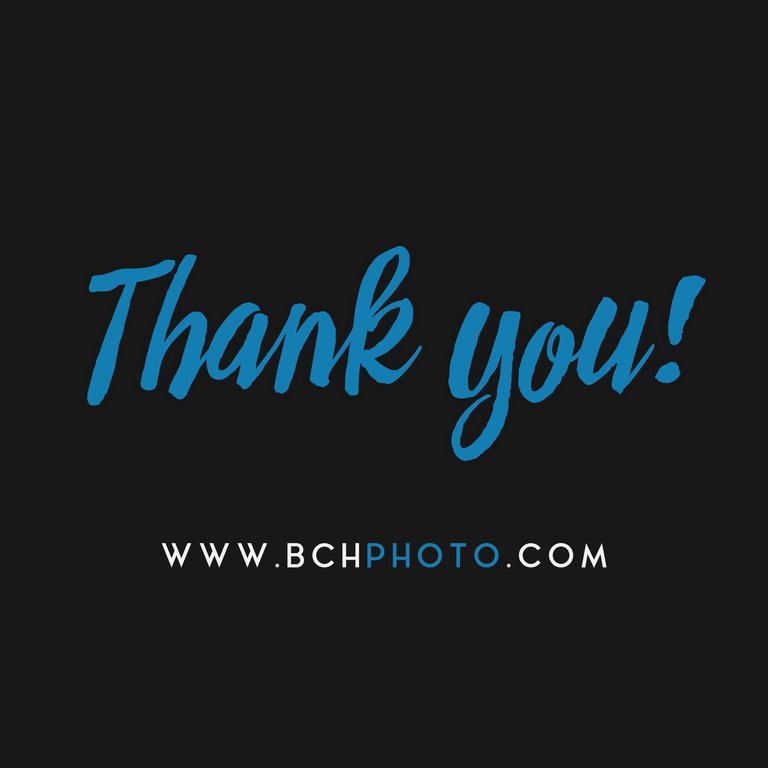 BCH_photography_ThankYou+www.jpg