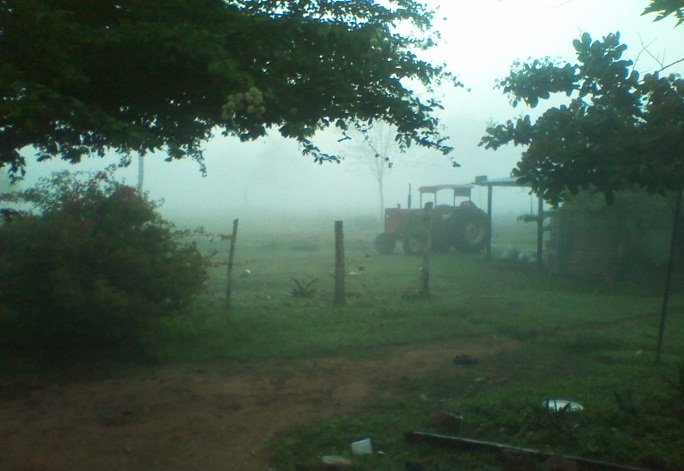 Amanecer con Niebla.jpg