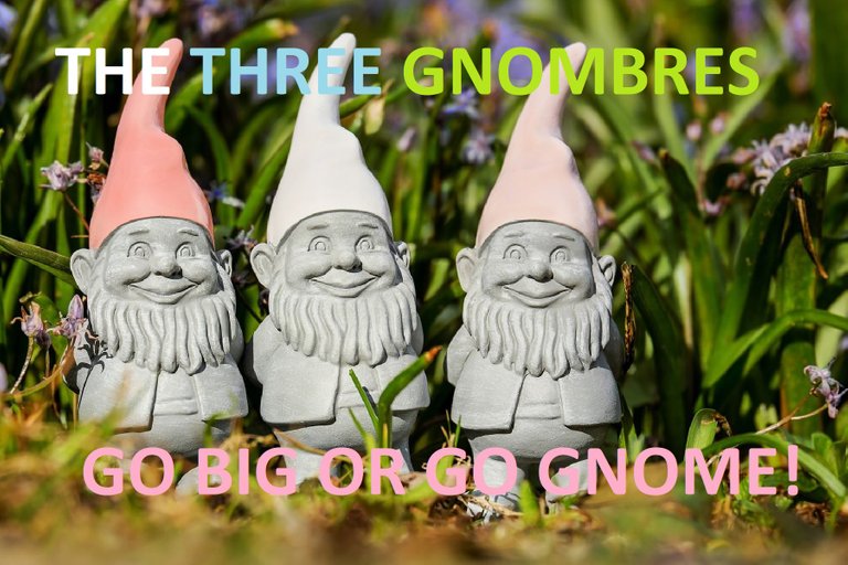 gnome meme.jpg