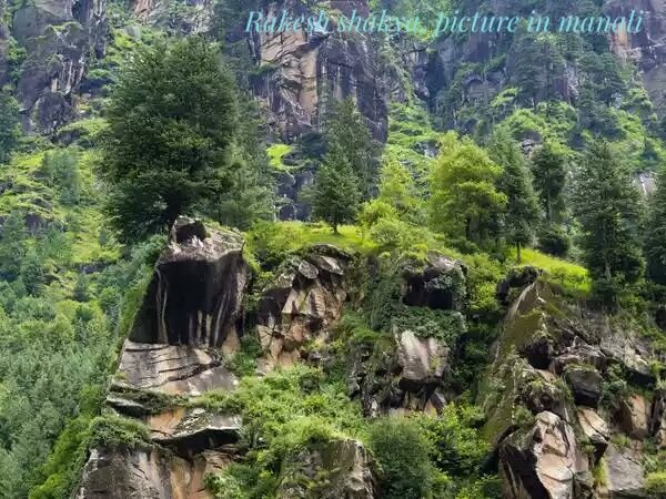 Himachal-Pradesh_Manali_Rocks-and-greenery-in-Manali-02.jpeg