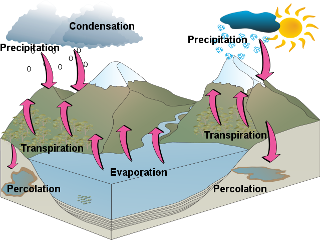 imogen_t_water_cycle_lyneham_high_final_copy.png