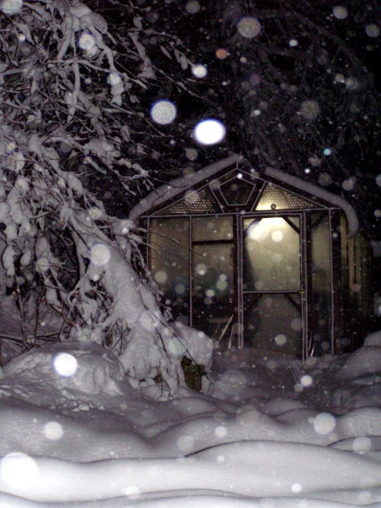 Greenhouse in Snow.jpg
