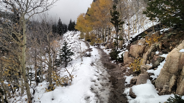 Aspen Trail